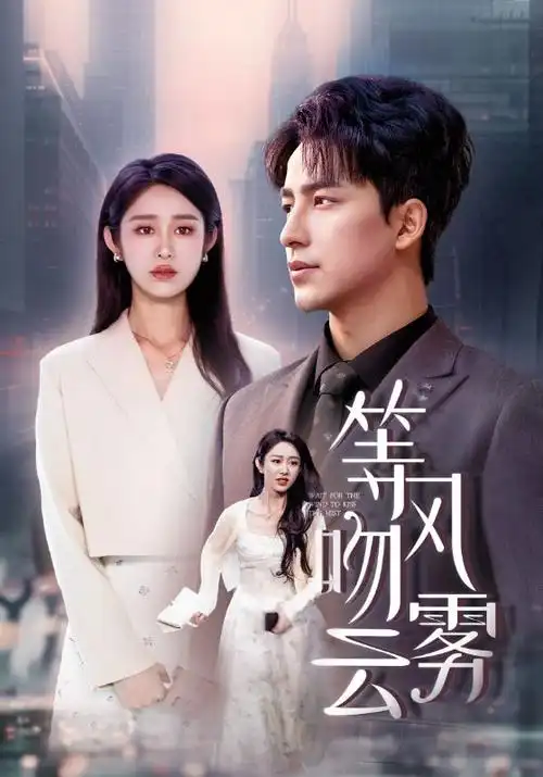 悬疑律政剧《第七个证人》免费在线观看